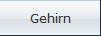 Gehirn